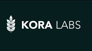 KoraLabs GmbH