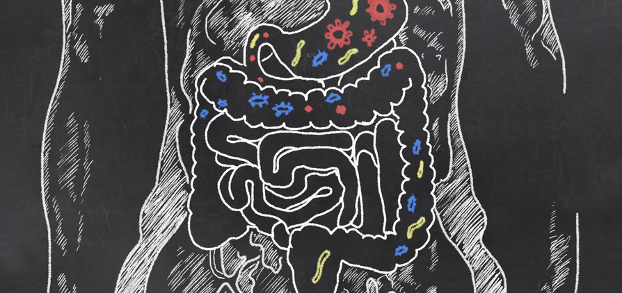 symbolic picture digestive tract